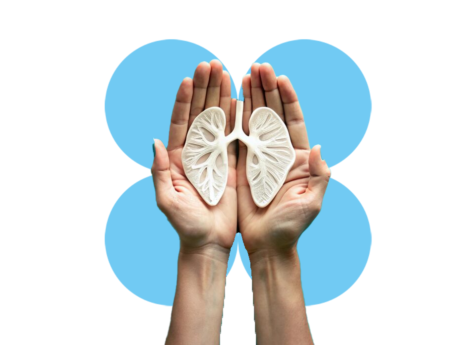Zenpad Aero Lungs