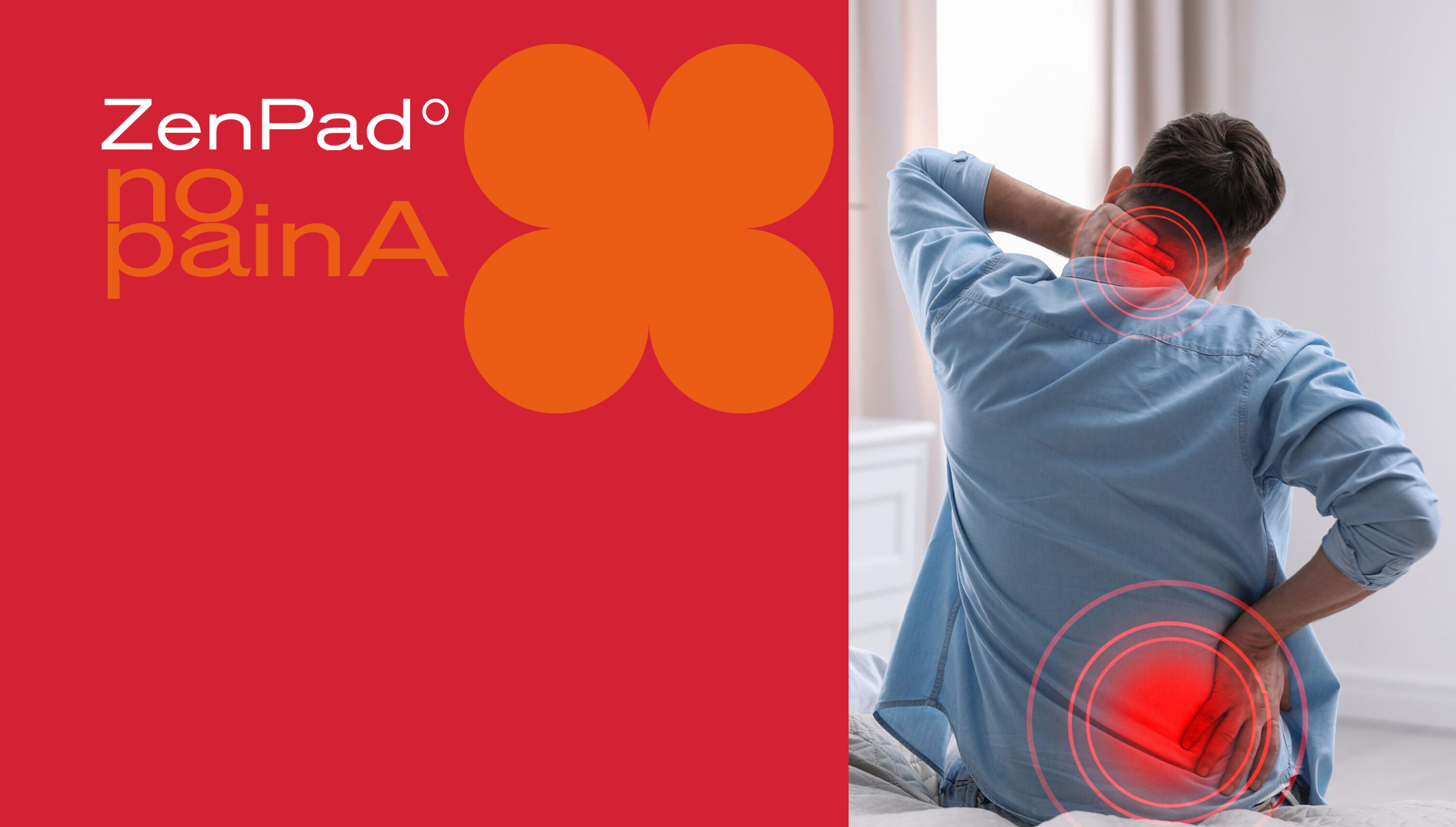 Zenpad Header Nopaina
