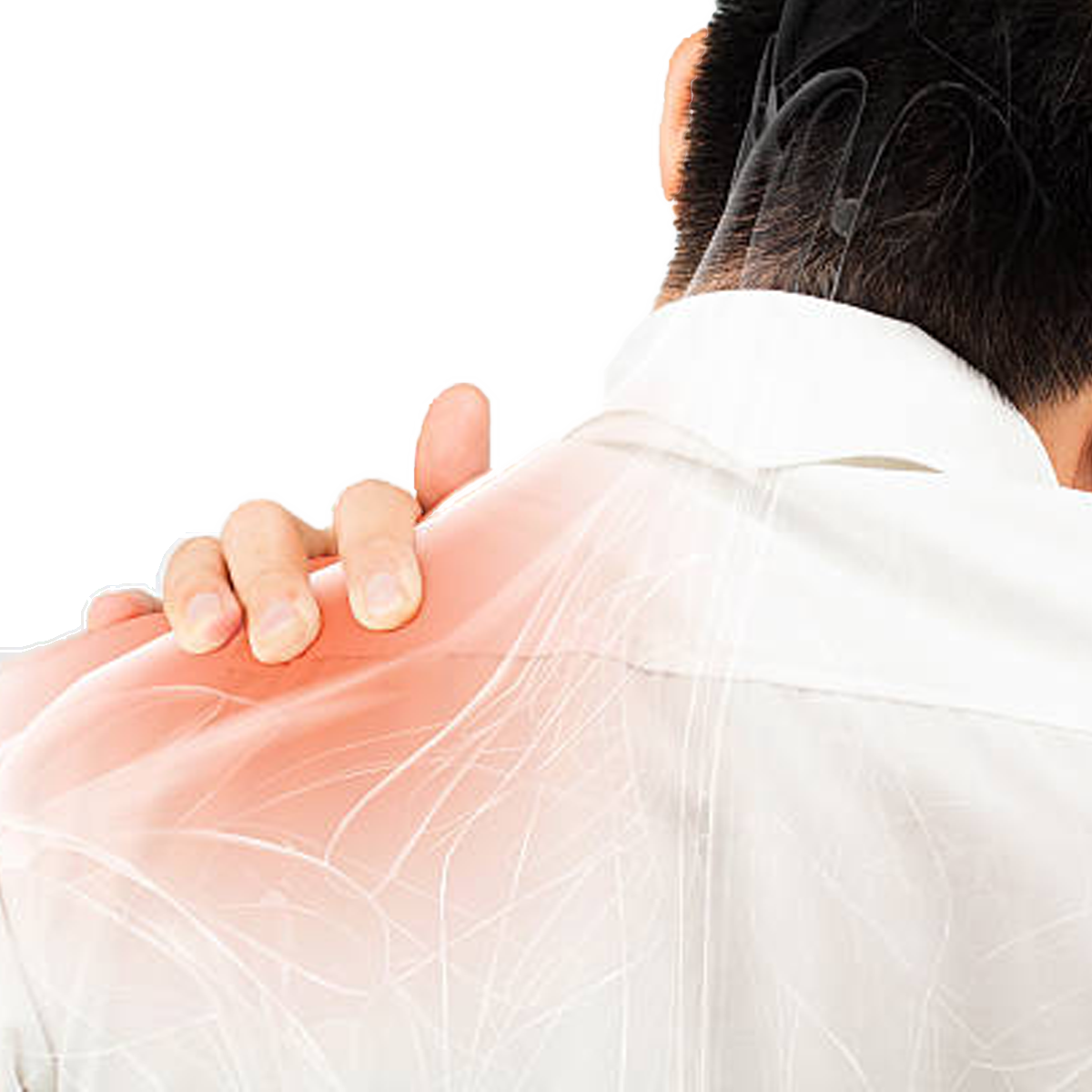Zenpad Nopainc Tendon Pain3 Zenpad Nopainc Tendon Pain3